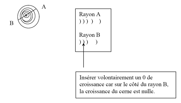 Mesure cernes incomplets